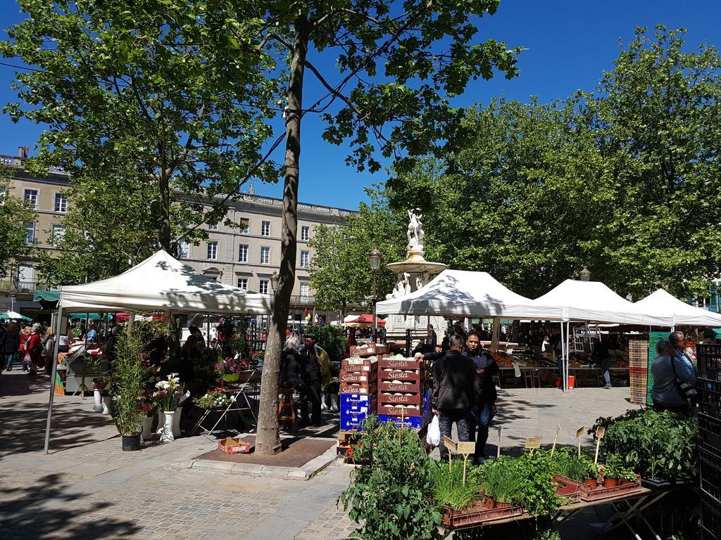 Penthouse Apartment Overlooking Place Carnot Carcassonne Ngoại thất bức ảnh